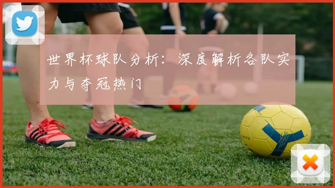 世界杯球队分析：深度解析各队实力与夺冠热门