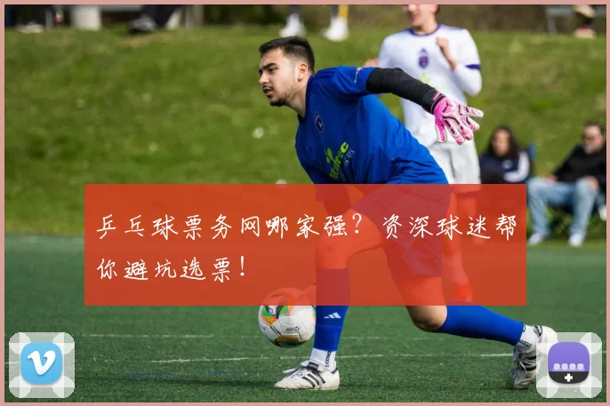 乒乓球票务网哪家强?资深球迷帮你避坑选票!